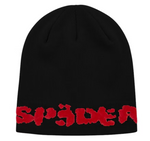 Sp5der Fuzzy Logo Mohair Beanie Black