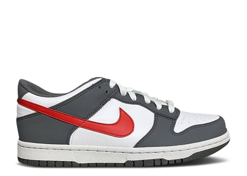 Nike Dunk Low Next Nature GS 